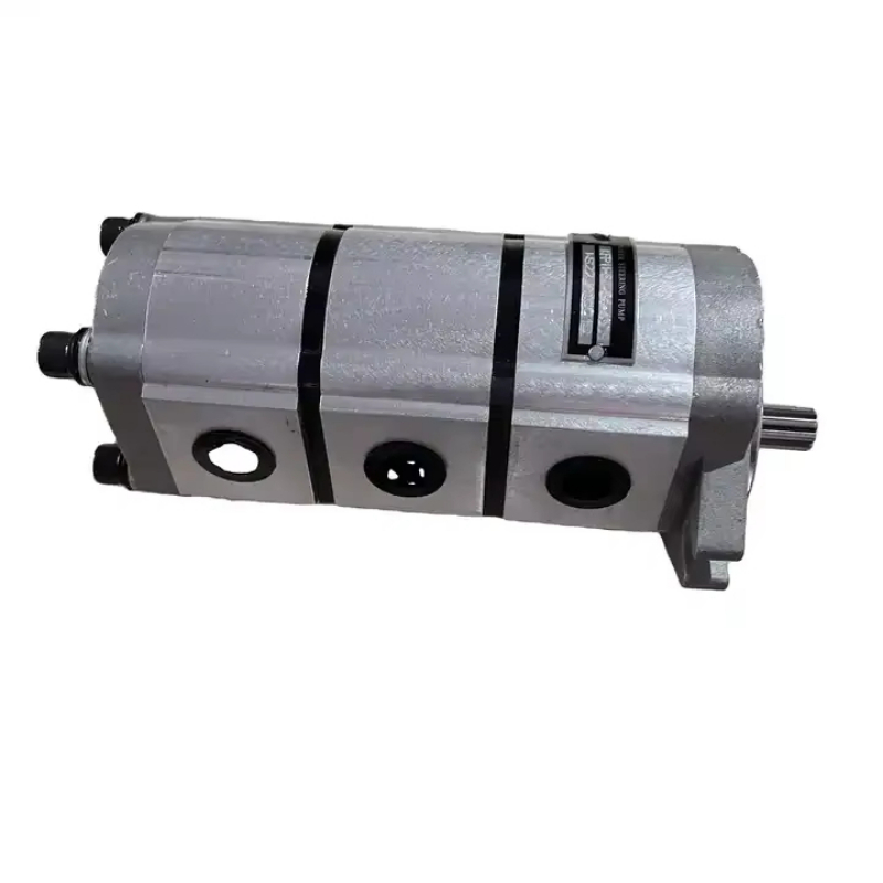 Woodworking Online - Pompa a Ingranaggi RC101-61110 per Escavatore